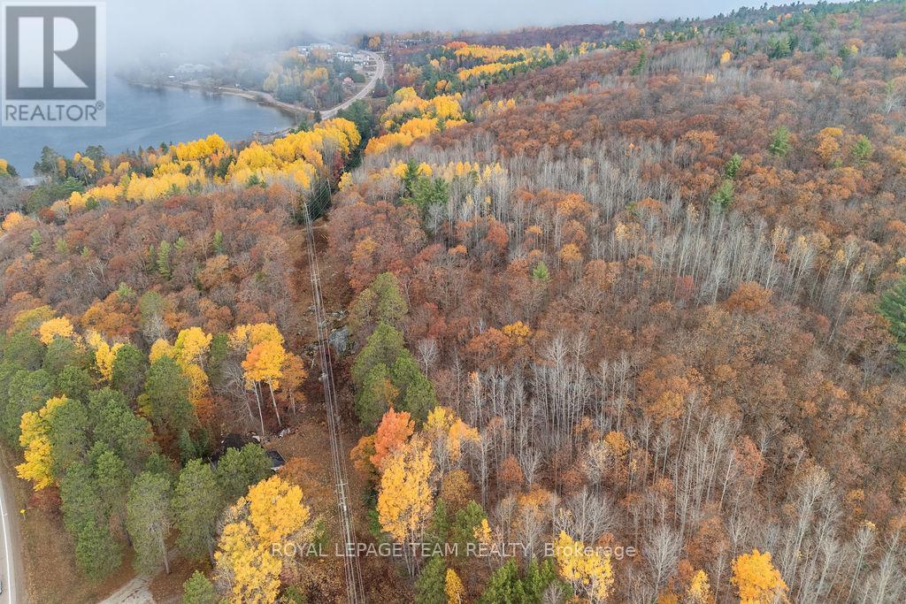 00 Highway 62 Highway, Madawaska Valley, Ontario  K0J 2M0 - Photo 6 - X12485807