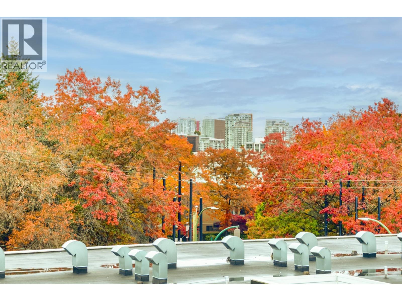 2222 Willow Street, Vancouver, British Columbia  V5Z 0C8 - Photo 5 - R3062116