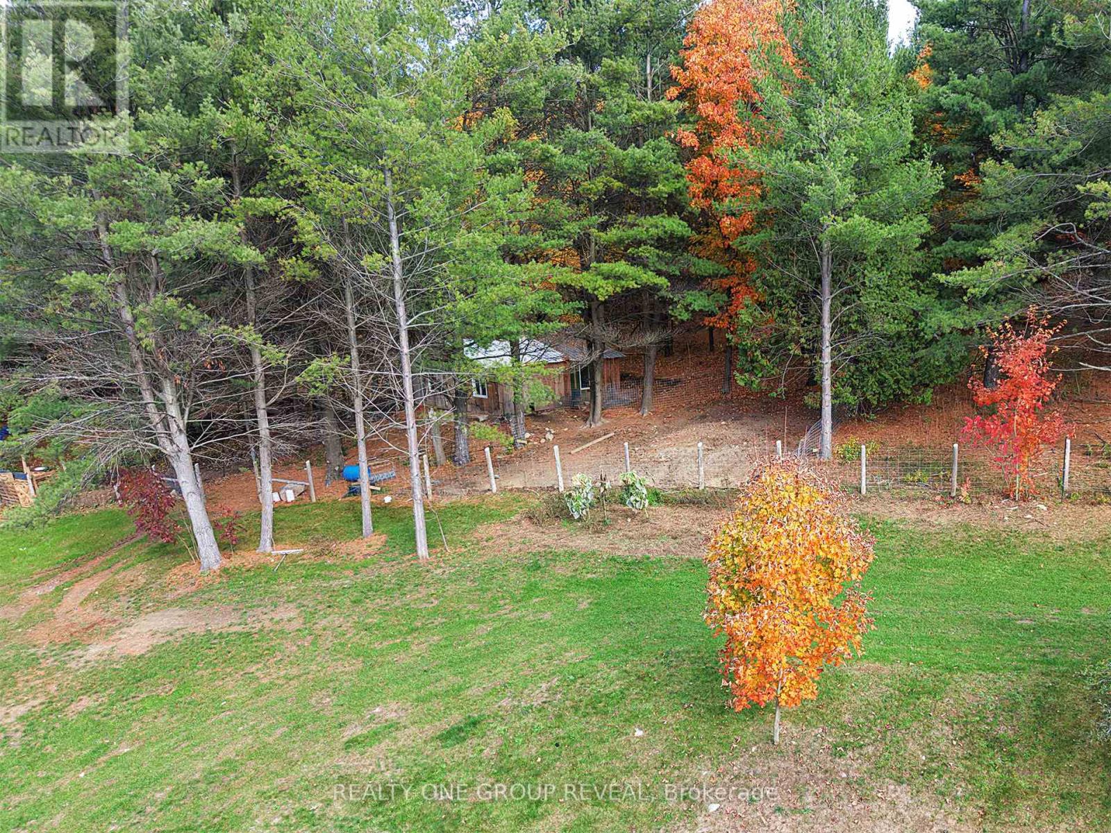 1179 County 23 Road, Alnwick/haldimand, Ontario  K0K 2G0 - Photo 17 - X12485703