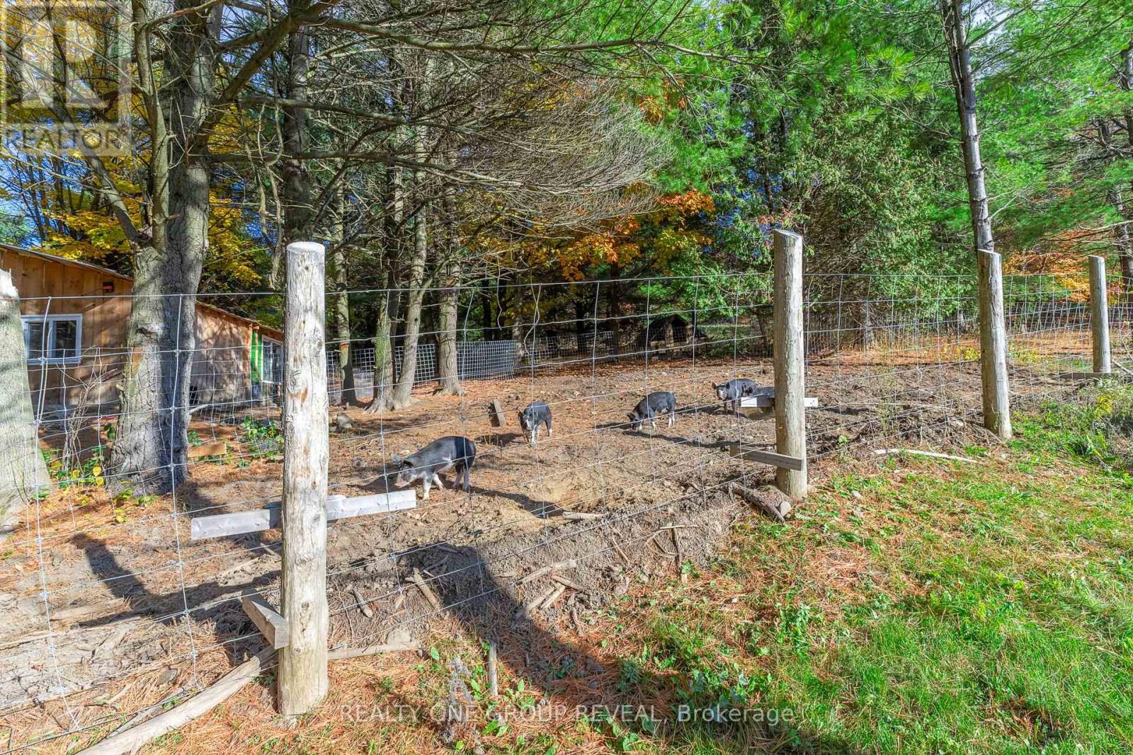 1179 County 23 Road, Alnwick/haldimand, Ontario  K0K 2G0 - Photo 18 - X12485703