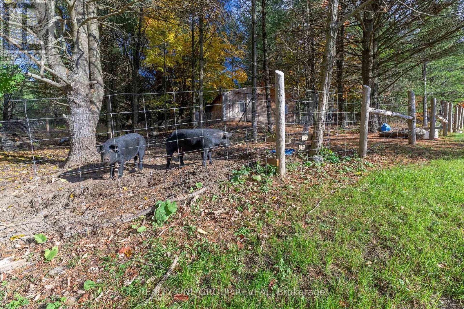 1179 County 23 Road, Alnwick/haldimand, Ontario  K0K 2G0 - Photo 19 - X12485703