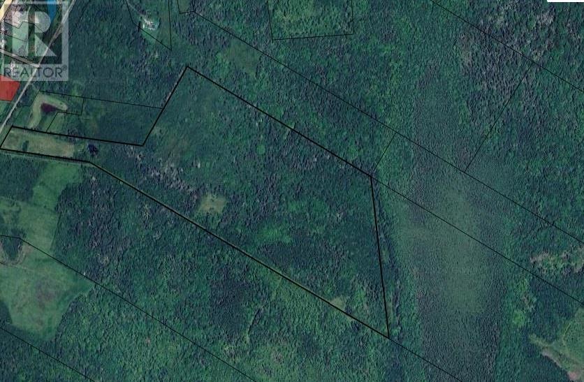 Lot Highway 340, South Ohio, Nova Scotia  B5A 5N1 - Photo 10 - 202418109