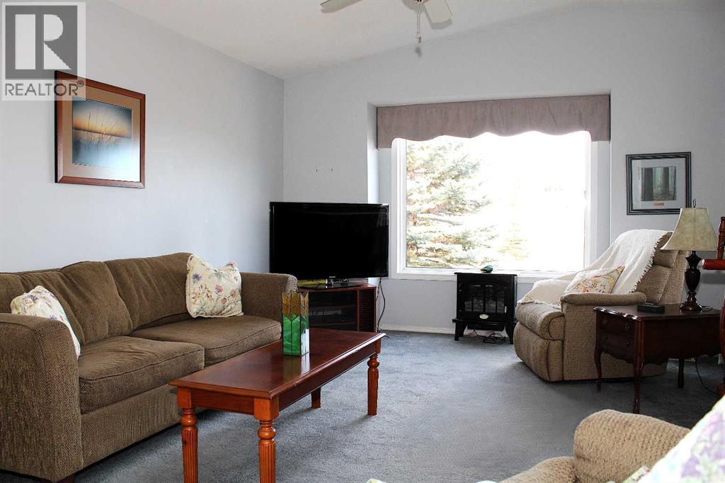 24 Noblefern Way, Sundre, Alberta  T0M 1X0 - Photo 8 - A2259876