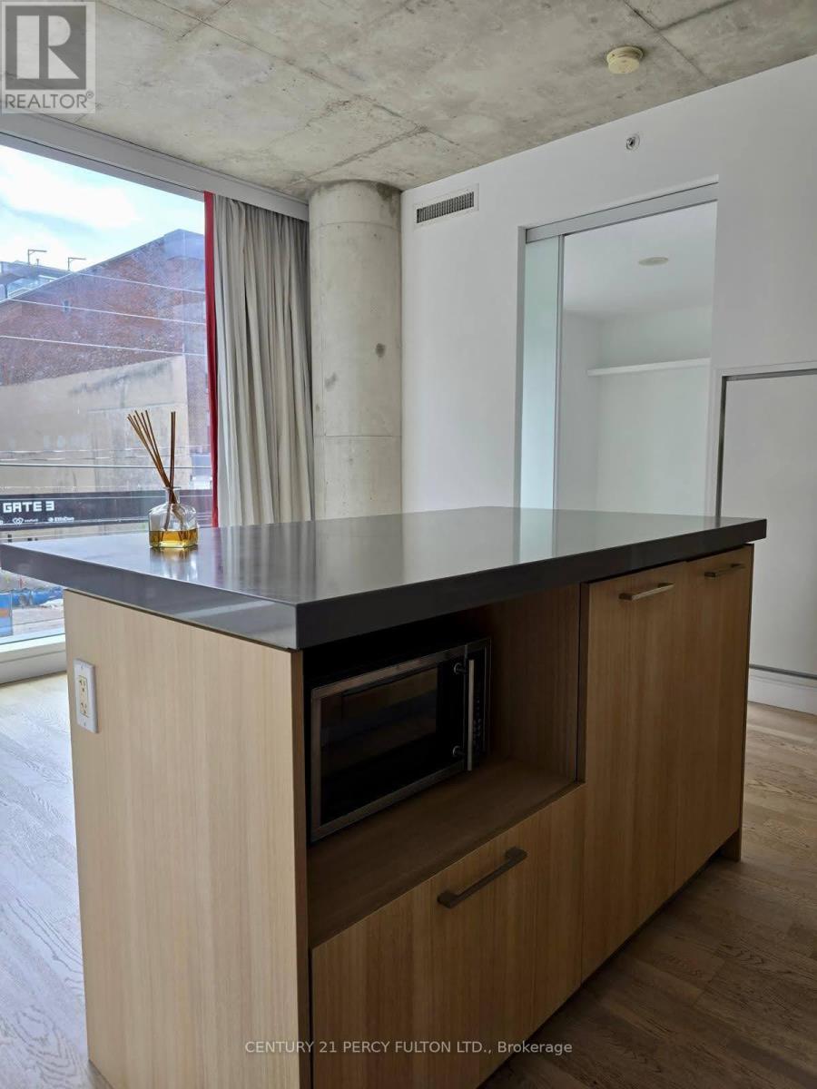 213 - 560 King Street W, Toronto, Ontario  M5V 0L6 - Photo 11 - C12485809