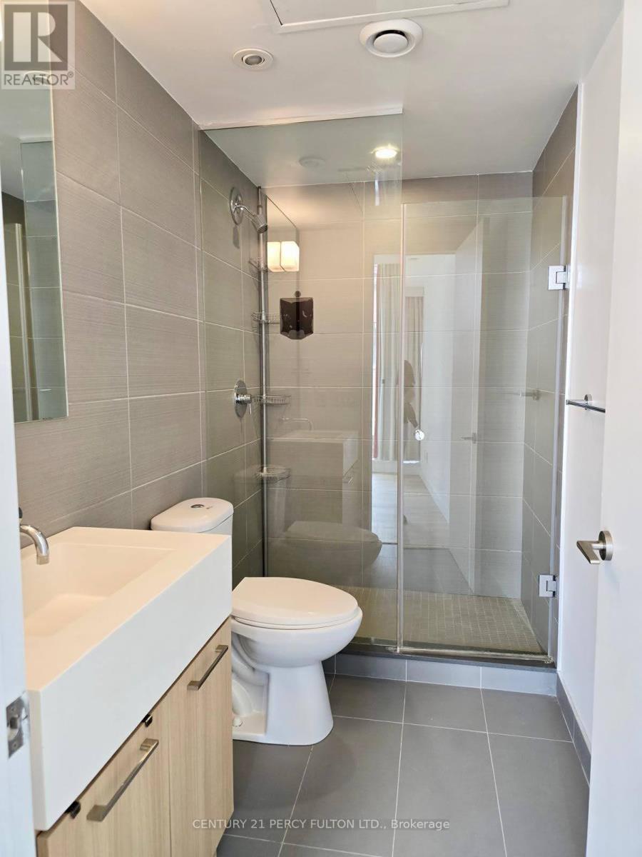 213 - 560 King Street W, Toronto, Ontario  M5V 0L6 - Photo 18 - C12485809