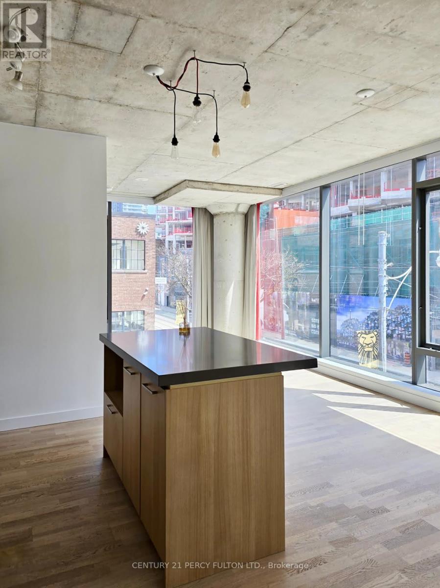 213 - 560 King Street W, Toronto, Ontario  M5V 0L6 - Photo 8 - C12485809