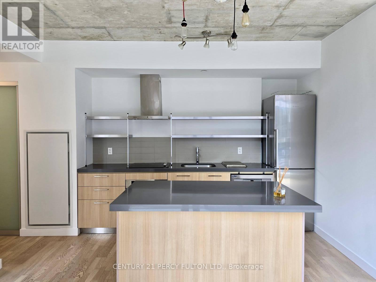 213 - 560 King Street W, Toronto, Ontario  M5V 0L6 - Photo 9 - C12485809