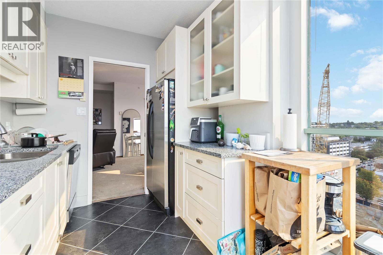 1507 1020 View St, Victoria, British Columbia  V8V 4Y4 - Photo 3 - 1018414