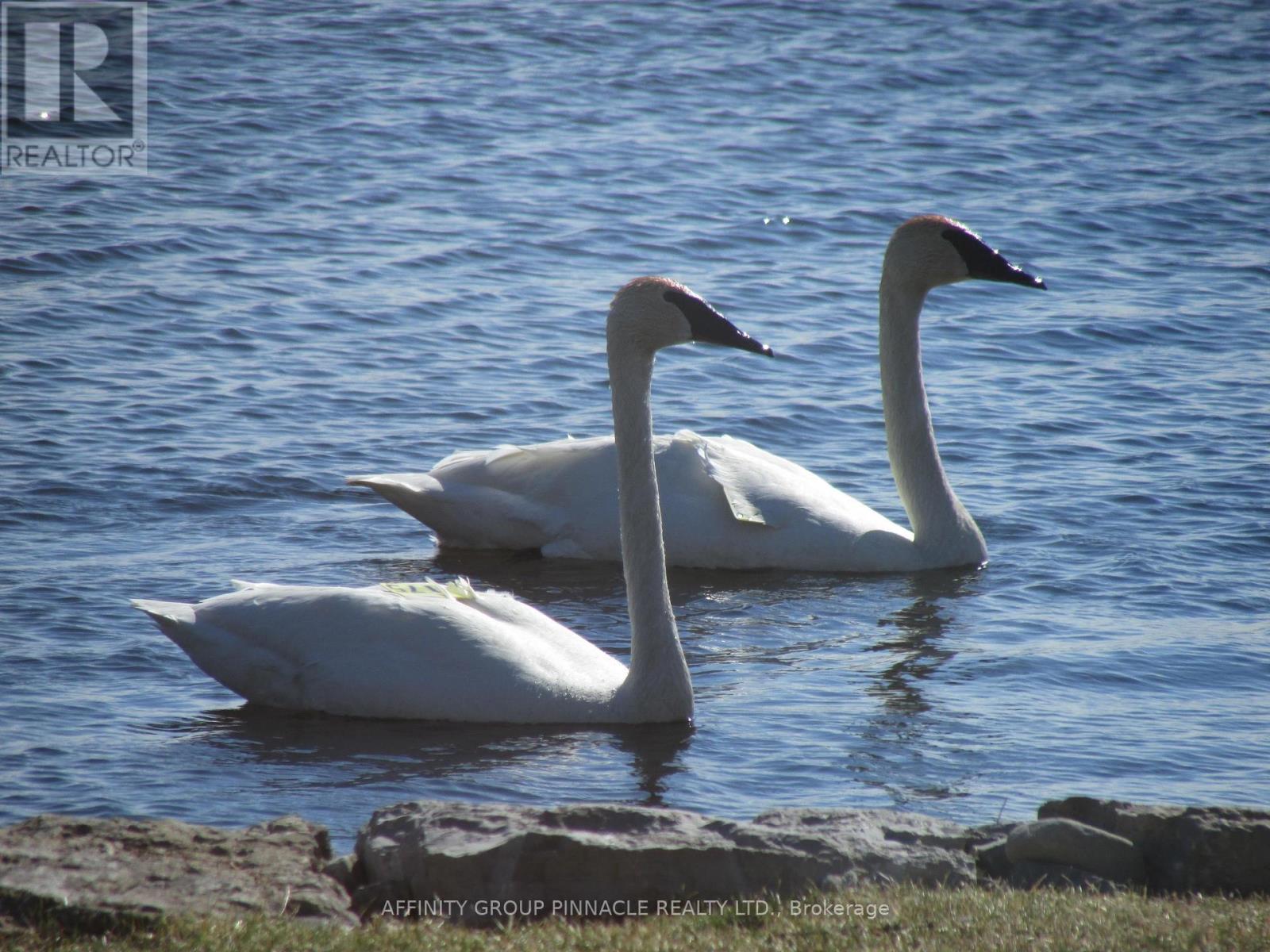 11 Lakeview Crescent, Kawartha Lakes, Ontario  K0M 1A0 - Photo 44 - X12485884