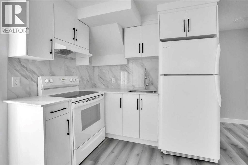 6058 Martingrove Road Ne, Calgary, Alberta  T3J 2N2 - Photo 33 - A2260647