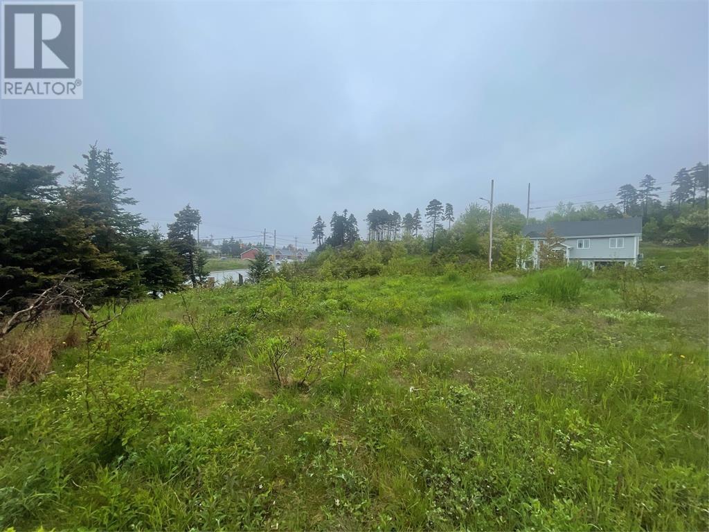 2-8 Lot A Dawson's Run, Conception Bay South, Newfoundland & Labrador  A1W 3J4 - Photo 4 - 1292076