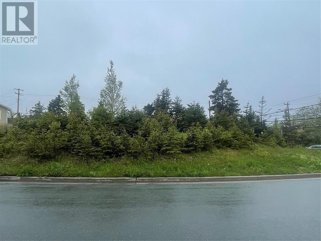 2-8 Lot A Dawson's Run, Conception Bay South, Newfoundland & Labrador  A1W 3J4 - Photo 5 - 1292076