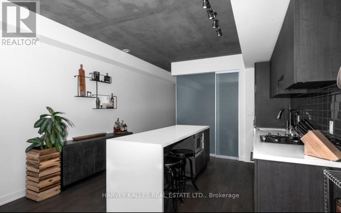 217 - 109 Ossington Avenue, Toronto, Ontario  M6J 0G1 - Photo 6 - C12485942