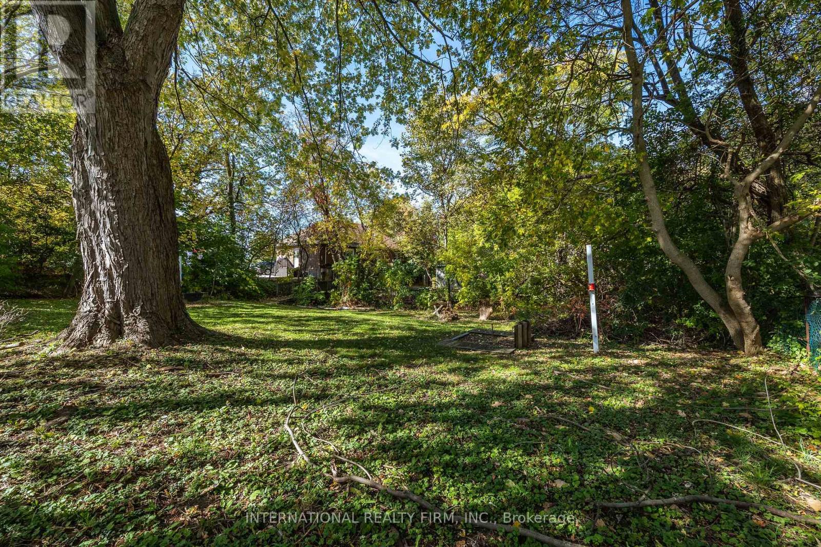 Basement - 345 Park Road S, Oshawa, Ontario  L1J 4H6 - Photo 26 - E12485973