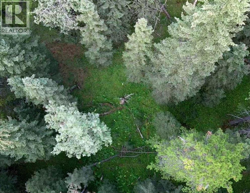 Mountain Lion Drive, Rural Rocky View County, Alberta