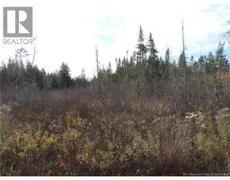 Old Gardner Creek Road, rowley, New Brunswick