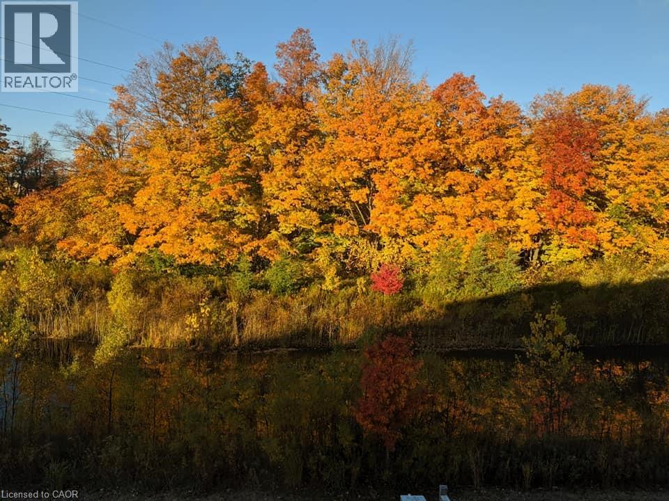 288 Steepleridge Street, Kitchener, Ontario  N2P 0B4 - Photo 50 - 40783690