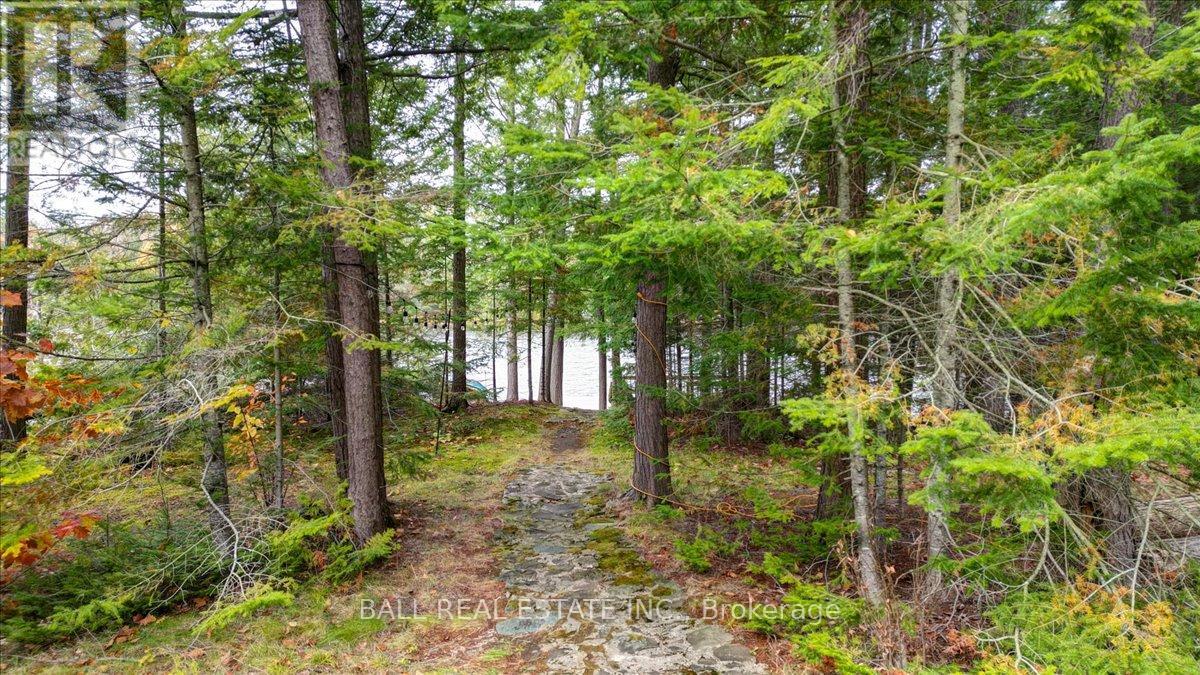 40 South Jordan Lake Road, Tudor And Cashel, Ontario  K0L 1W0 - Photo 21 - X12486033