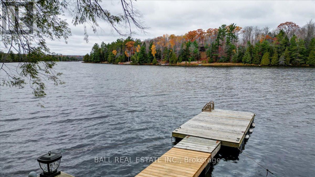 40 South Jordan Lake Road, Tudor And Cashel, Ontario  K0L 1W0 - Photo 23 - X12486033