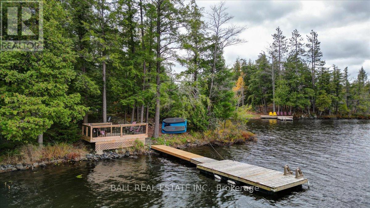 40 South Jordan Lake Road, Tudor And Cashel, Ontario  K0L 1W0 - Photo 24 - X12486033