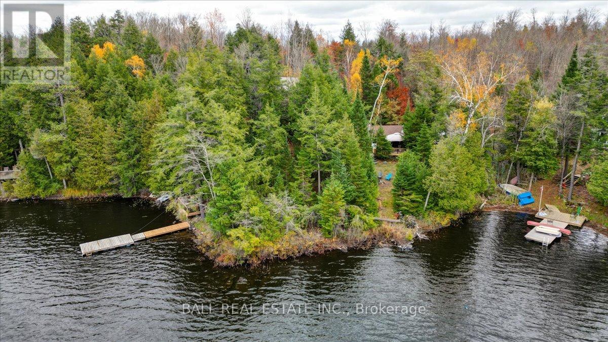 40 South Jordan Lake Road, Tudor And Cashel, Ontario  K0L 1W0 - Photo 33 - X12486033