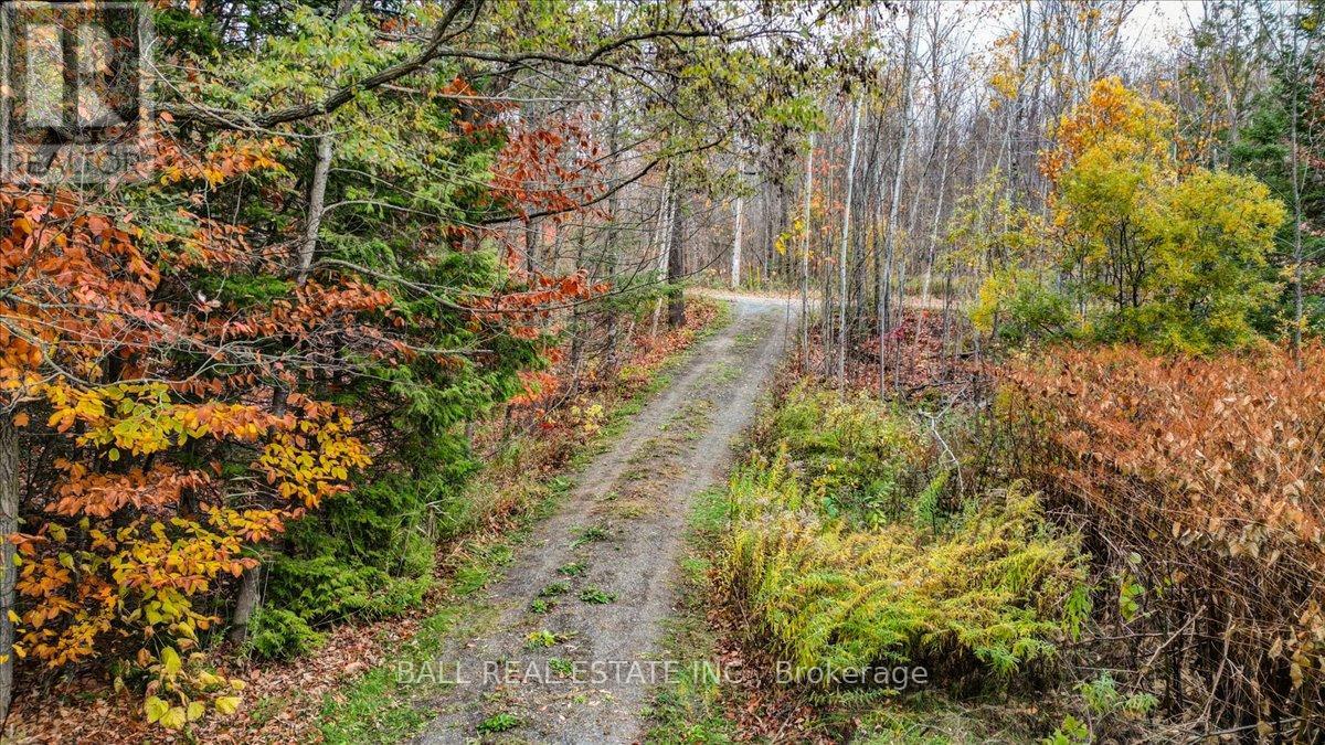 40 South Jordan Lake Road, Tudor And Cashel, Ontario  K0L 1W0 - Photo 38 - X12486033