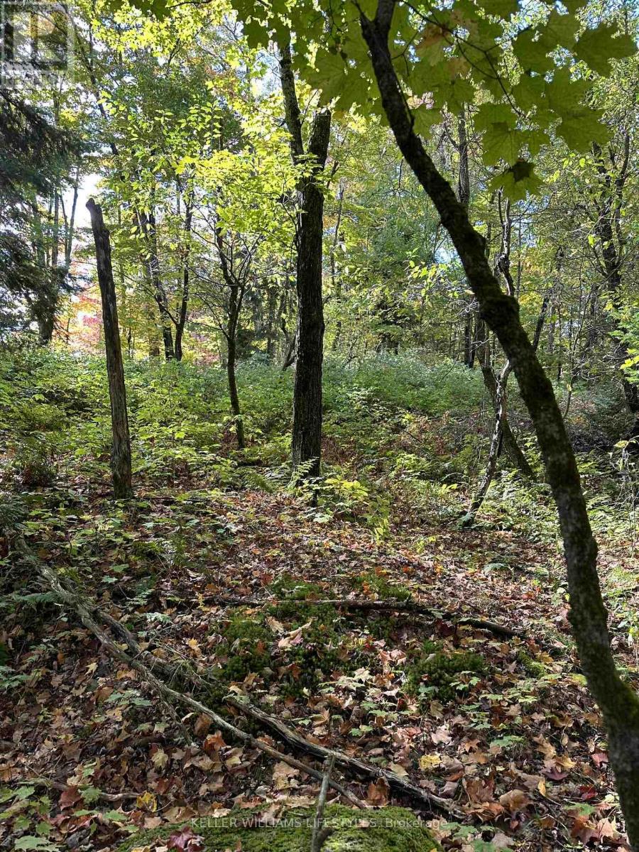 0 Cedar Crescent, Nipissing, Ontario  P0H 1Z0 - Photo 23 - X12486047