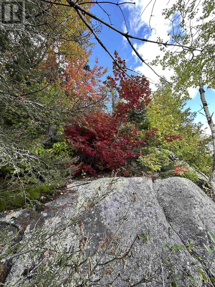 0 Cedar Crescent, Nipissing, Ontario  P0H 1Z0 - Photo 38 - X12486047