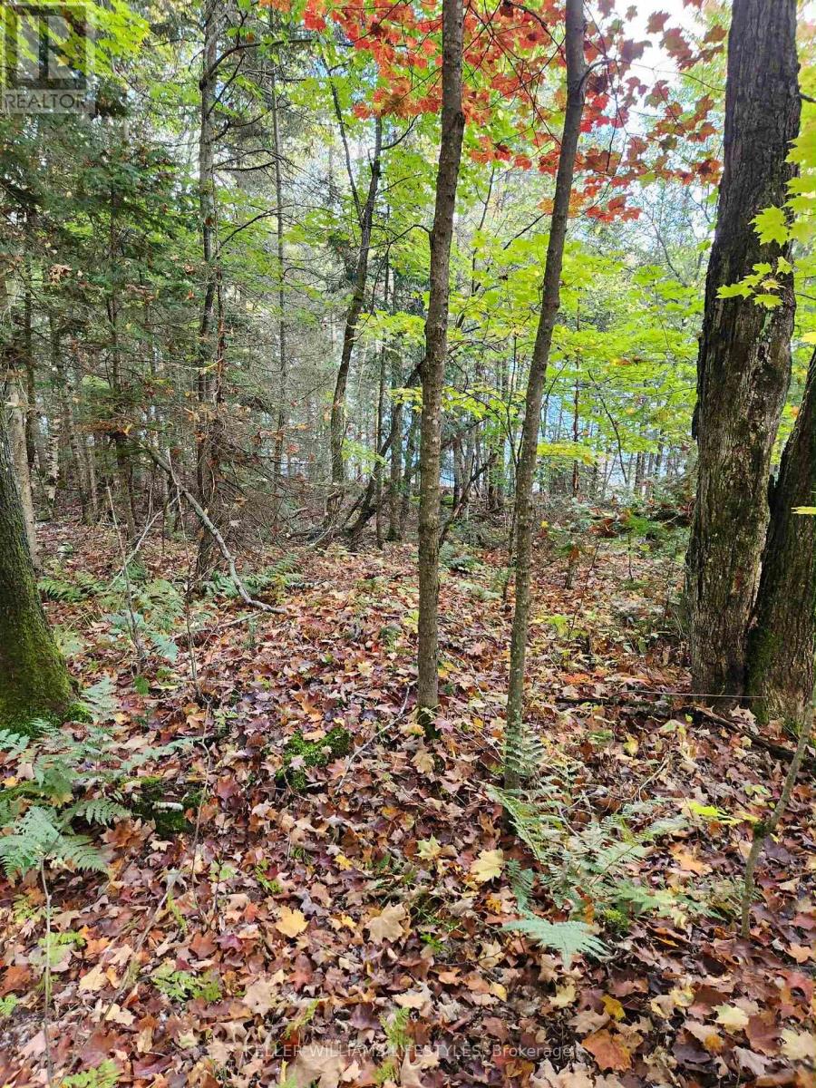 0 Cedar Crescent, Nipissing, Ontario  P0H 1Z0 - Photo 39 - X12486047