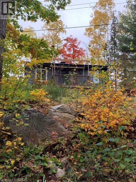 2830 Papineau Lake Road, Maple Leaf, Ontario  K0L 2R0 - Photo 17 - 40783836