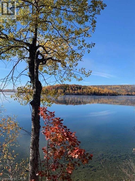 2830 Papineau Lake Road, Maple Leaf, Ontario  K0L 2R0 - Photo 21 - 40783836