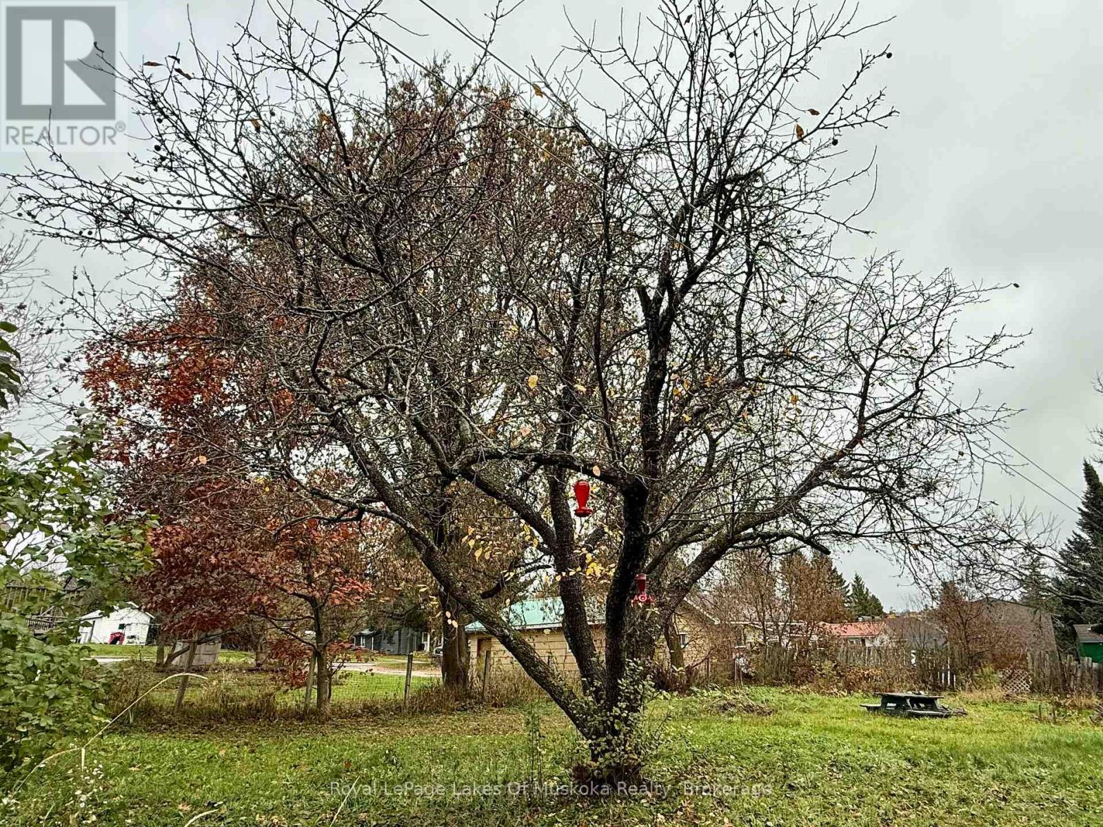 134 Main Street, Burk's Falls, Ontario  P0A 1C0 - Photo 11 - X12486098