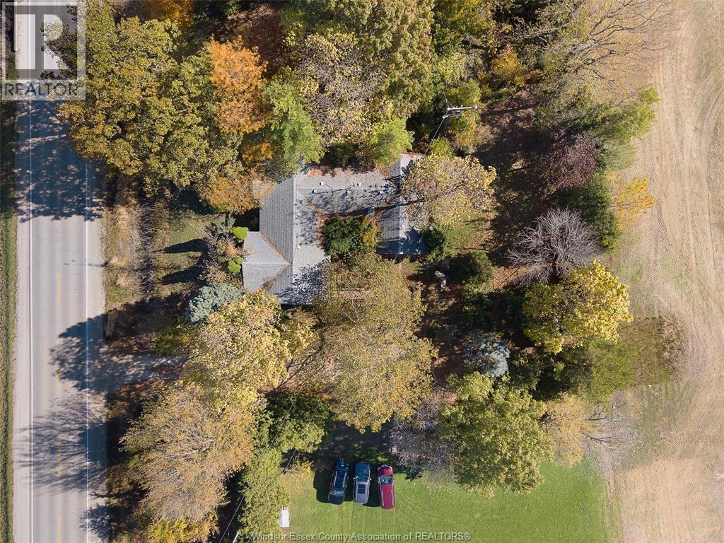 768 County Rd 8, Kingsville, Ontario  N0R 1V0 - Photo 2 - 25027382