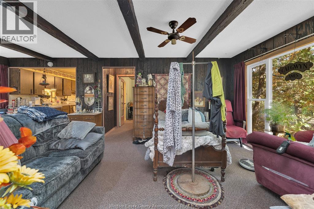 768 County Rd 8, Kingsville, Ontario  N0R 1V0 - Photo 21 - 25027382