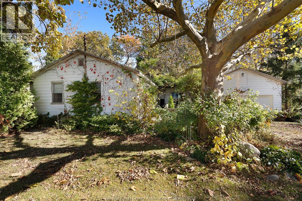 768 County Rd 8, Kingsville, Ontario  N0R 1V0 - Photo 3 - 25027382