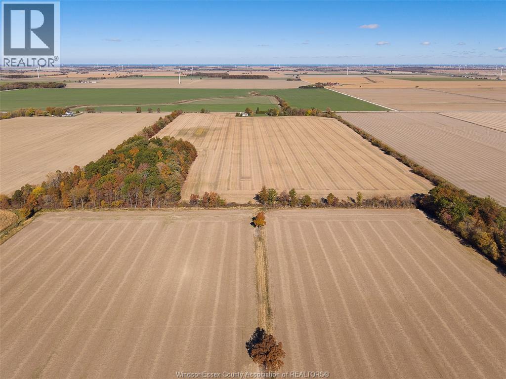 768 County Rd 8, Kingsville, Ontario  N0R 1V0 - Photo 34 - 25027382