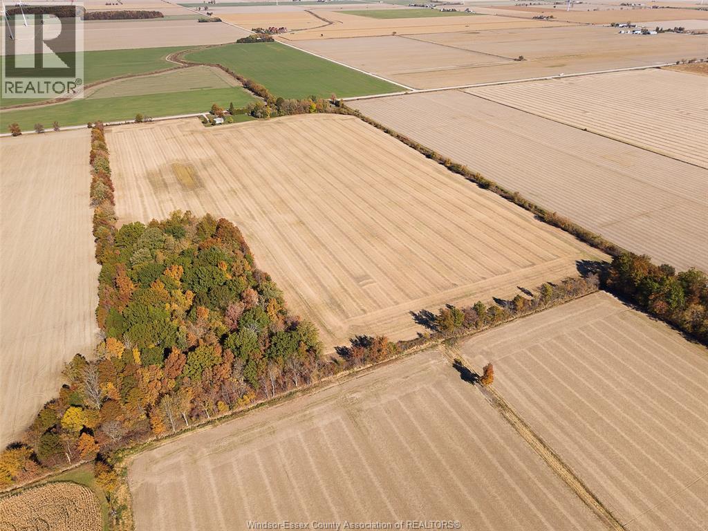 768 County Rd 8, Kingsville, Ontario  N0R 1V0 - Photo 35 - 25027382