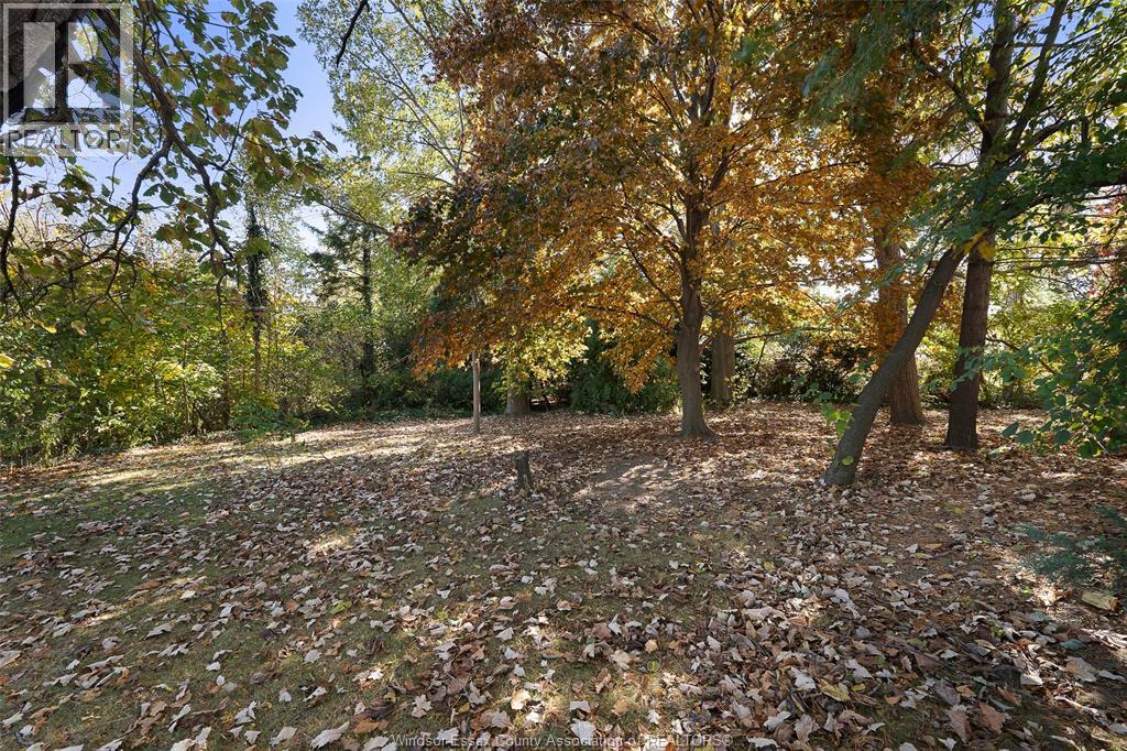 768 County Rd 8, Kingsville, Ontario  N0R 1V0 - Photo 36 - 25027382