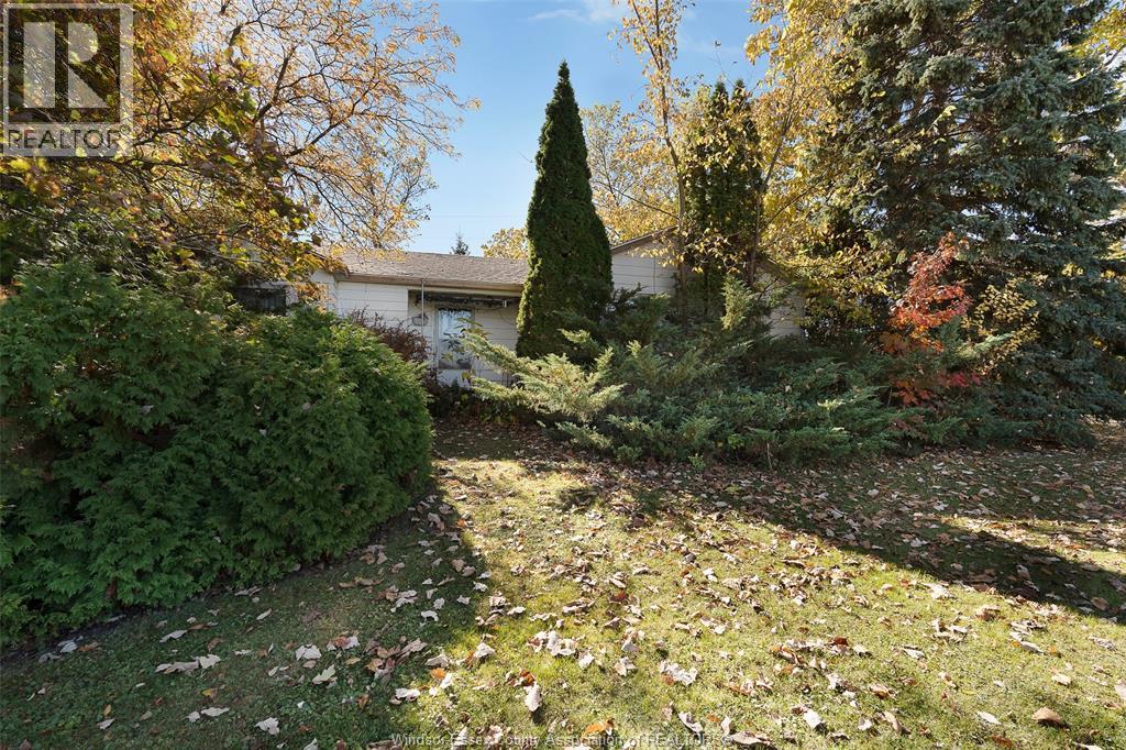 768 County Rd 8, Kingsville, Ontario  N0R 1V0 - Photo 37 - 25027382