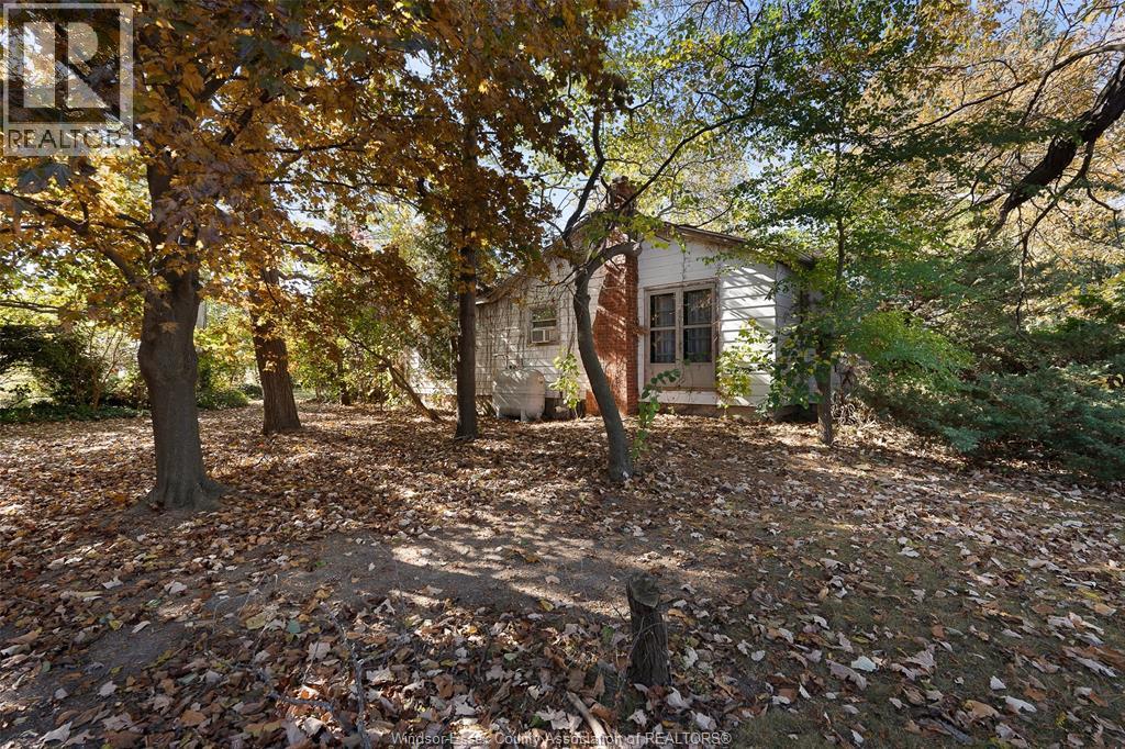 768 County Rd 8, Kingsville, Ontario  N0R 1V0 - Photo 38 - 25027382