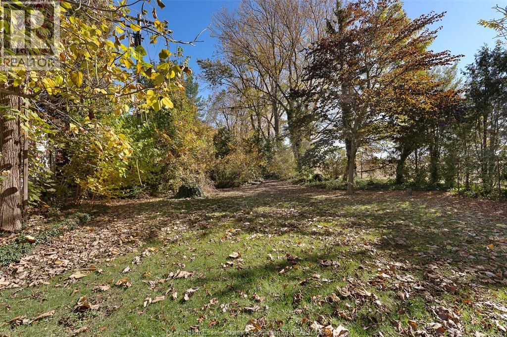 768 County Rd 8, Kingsville, Ontario  N0R 1V0 - Photo 41 - 25027382