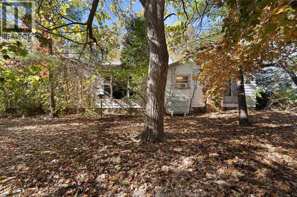 768 County Rd 8, Kingsville, Ontario  N0R 1V0 - Photo 42 - 25027382