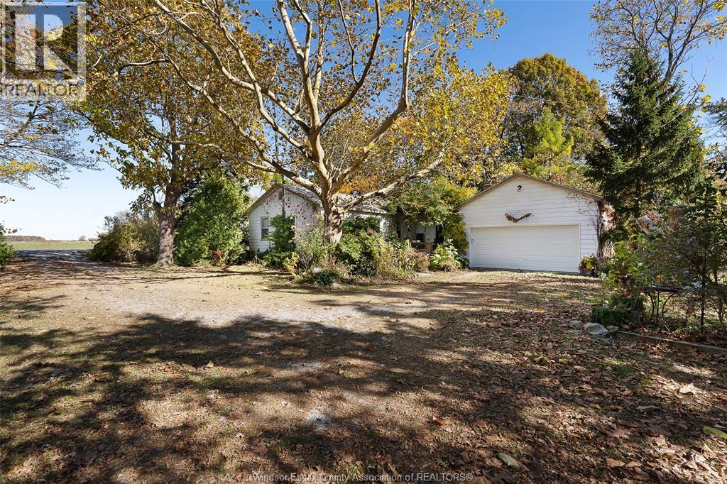 768 County Rd 8, Kingsville, Ontario  N0R 1V0 - Photo 44 - 25027382