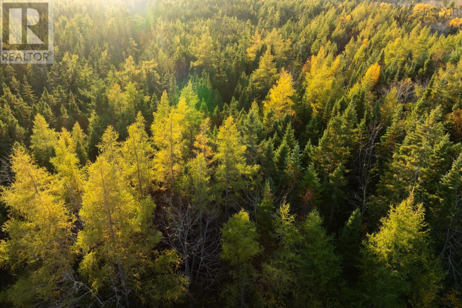 1 Port Malcolm Road, Grantville, Nova Scotia  B9A 1Z6 - Photo 9 - 202525658