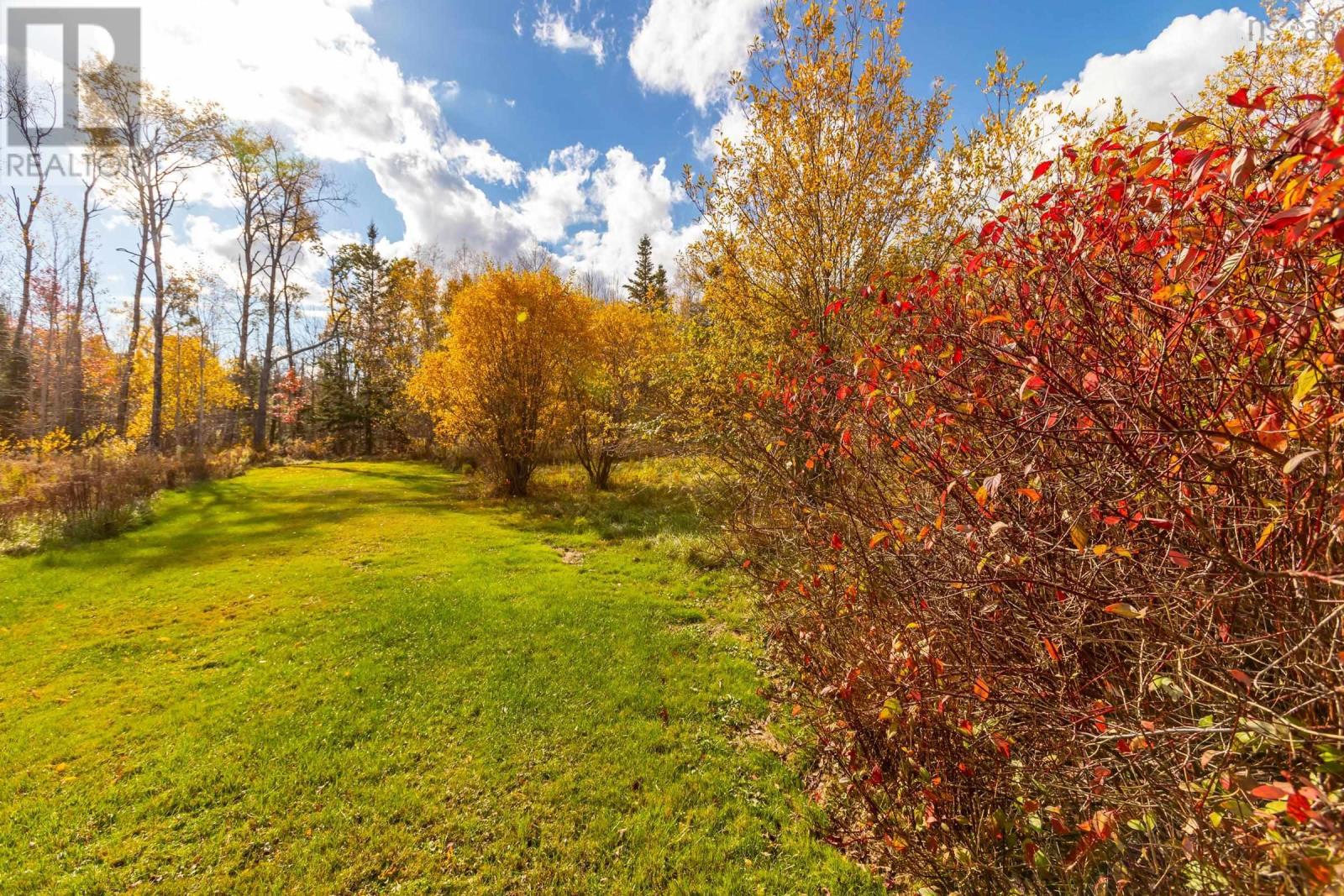 771 Highway 10, Springfield, Nova Scotia  B0R 1H0 - Photo 48 - 202526759