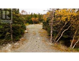 X Cape Pond Road, Tors Cove, Newfoundland & Labrador