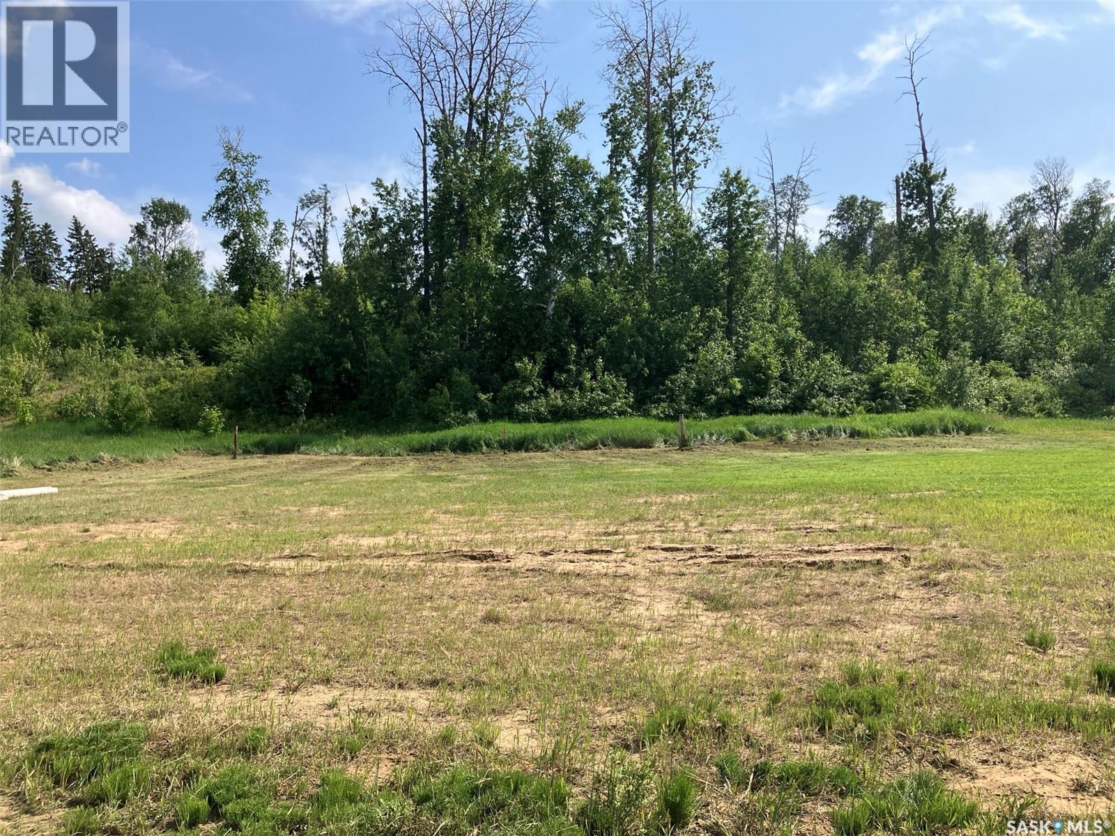 Lot 24, Birch Avenue, Tobin Lake, Tobin Lake, Saskatchewan  S0E 1E0 - Photo 5 - SK010166