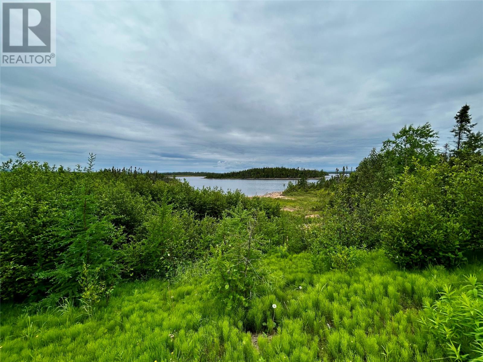 10 Birchy Cove Road, Howley, Newfoundland & Labrador  A0K 3E0 - Photo 16 - 1292091