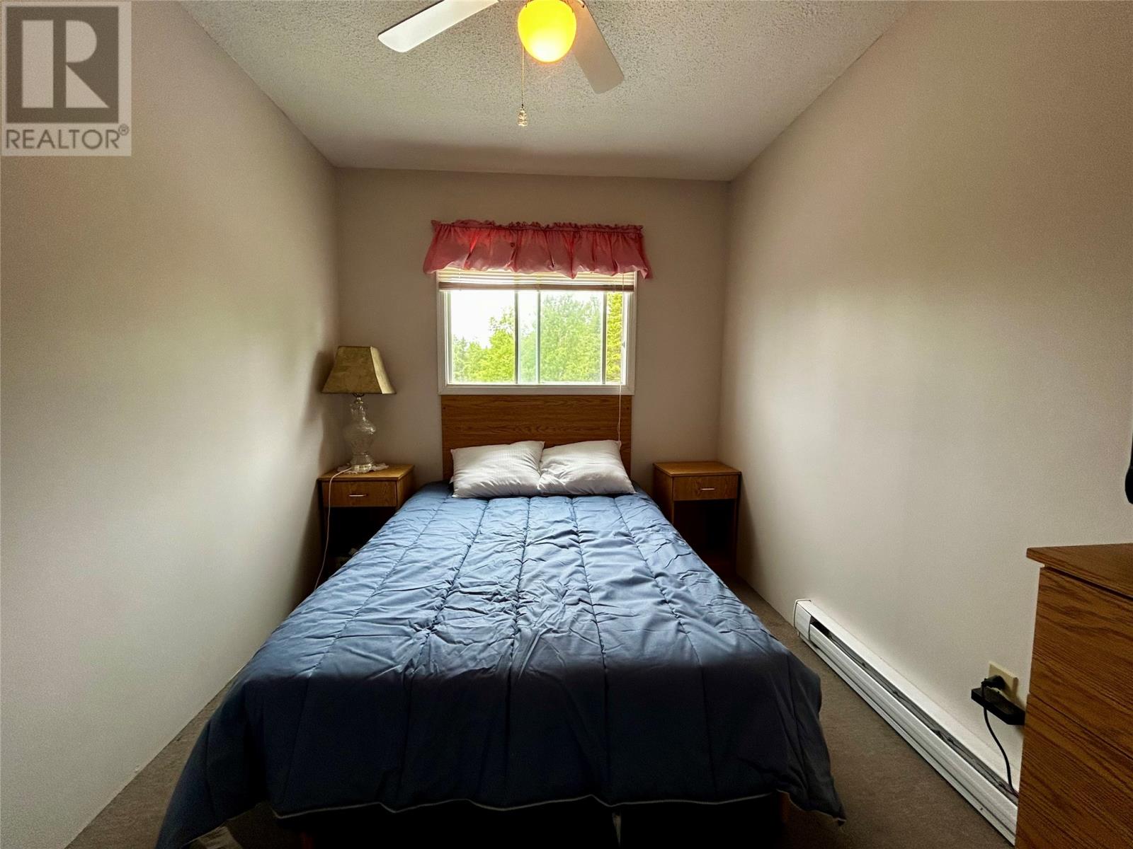 10 Birchy Cove Road, Howley, Newfoundland & Labrador  A0K 3E0 - Photo 6 - 1292091