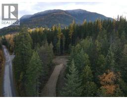 Lot 1 Brouse Loop Road, nakusp, British Columbia